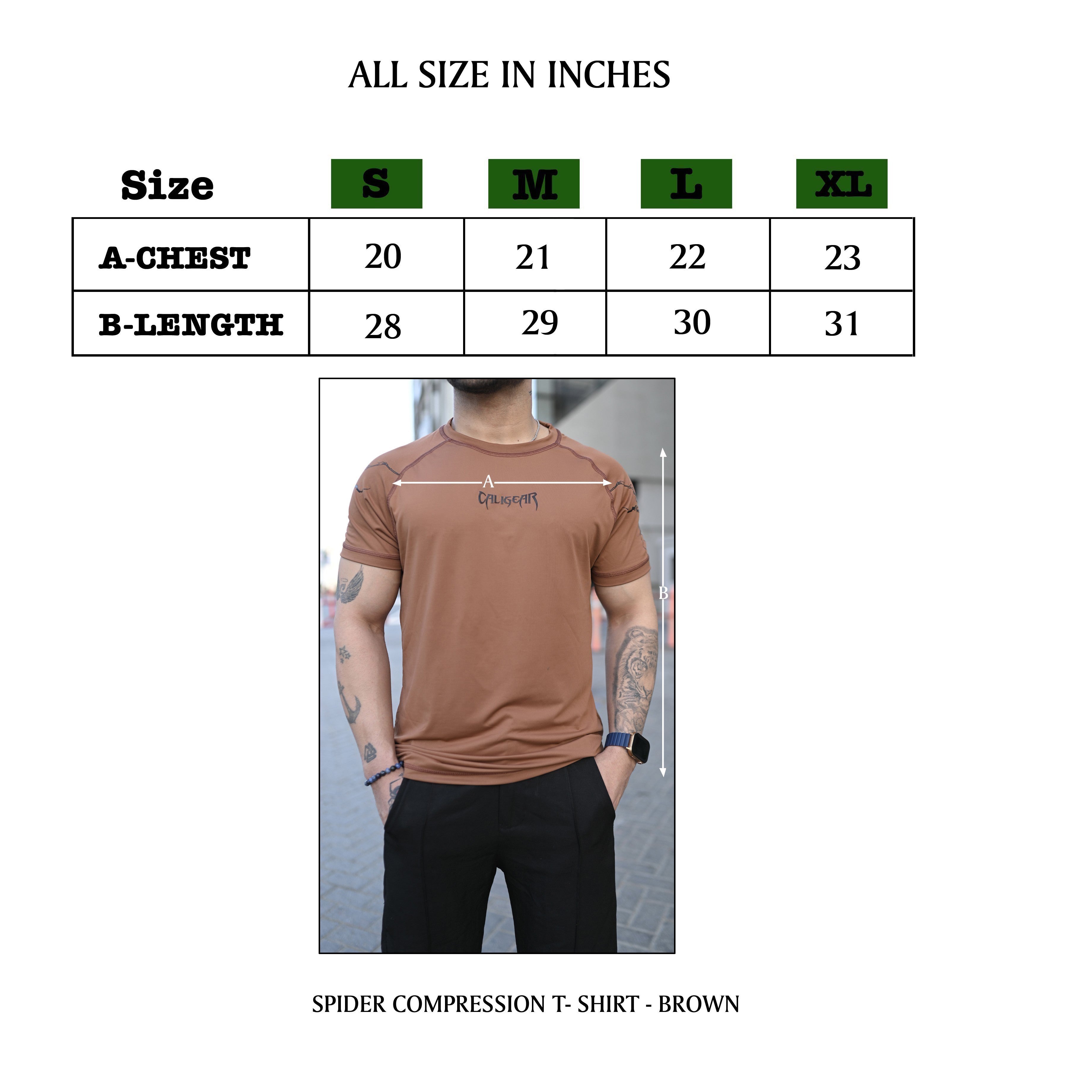 SPIDER COMPRESSION - BROWN